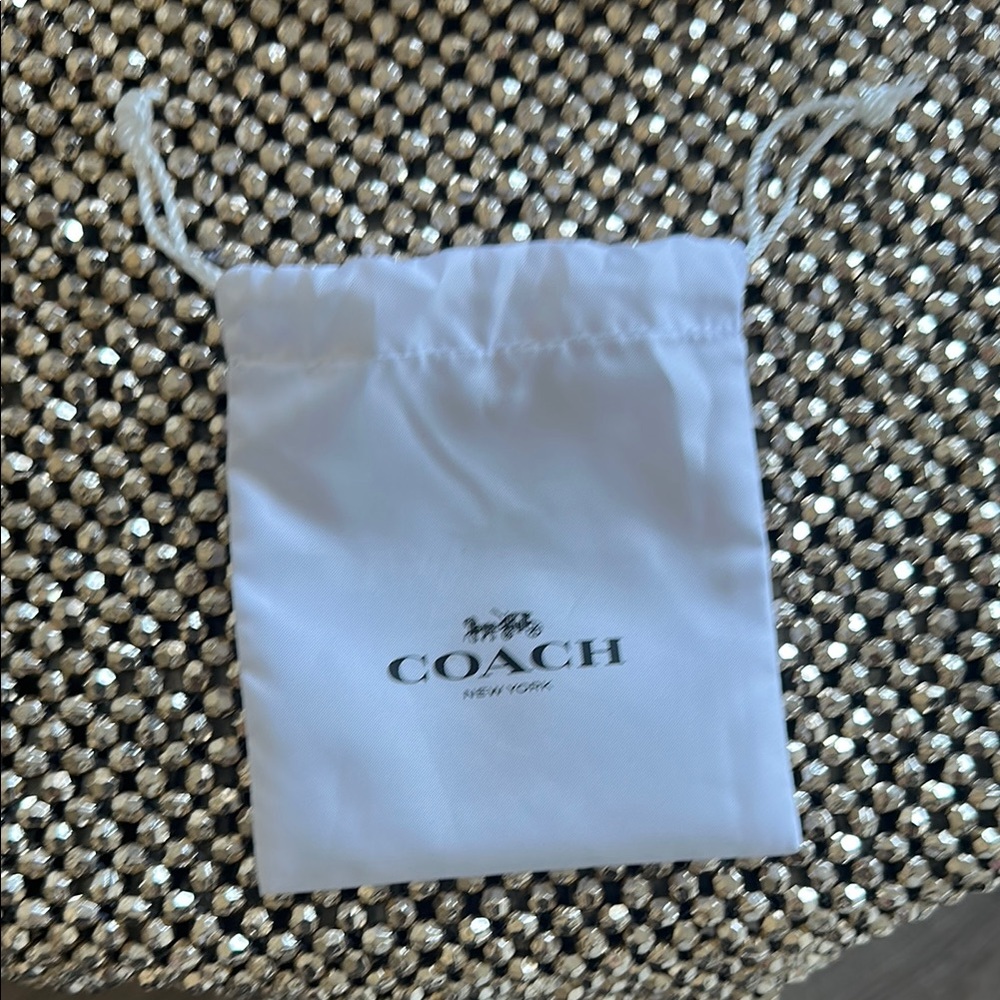 Coach White Jewelry Dust Bag